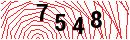 Security Verification