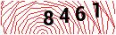 Security Verification