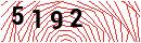Security Verification