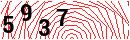 Security Verification