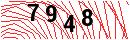 Security Verification