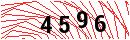 Security Verification