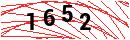 Security Verification