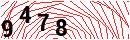 Security Verification