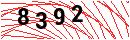 Security Verification