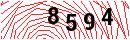 Security Verification