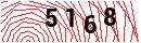 Security Verification