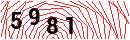 Security Verification