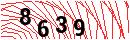 Security Verification