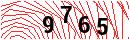 Security Verification