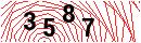 Security Verification