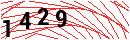 Security Verification