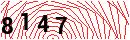 Security Verification