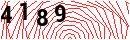 Security Verification
