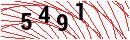 Security Verification