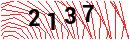 Security Verification