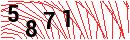 Security Verification