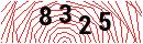 Security Verification