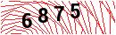 Security Verification