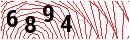 Security Verification