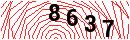 Security Verification