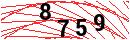 Security Verification