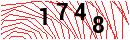 Security Verification