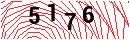 Security Verification