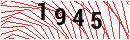 Security Verification