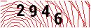Security Verification