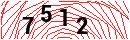 Security Verification