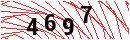 Security Verification