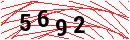 Security Verification