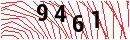 Security Verification