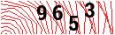 Security Verification