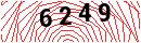Security Verification