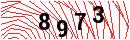 Security Verification