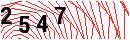 Security Verification
