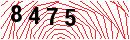Security Verification