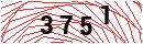 Security Verification