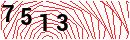 Security Verification