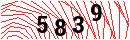 Security Verification