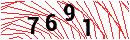 Security Verification