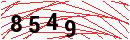 Security Verification