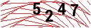 Security Verification