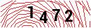 Security Verification
