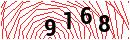 Security Verification