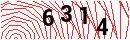 Security Verification