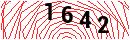 Security Verification