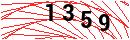 Security Verification